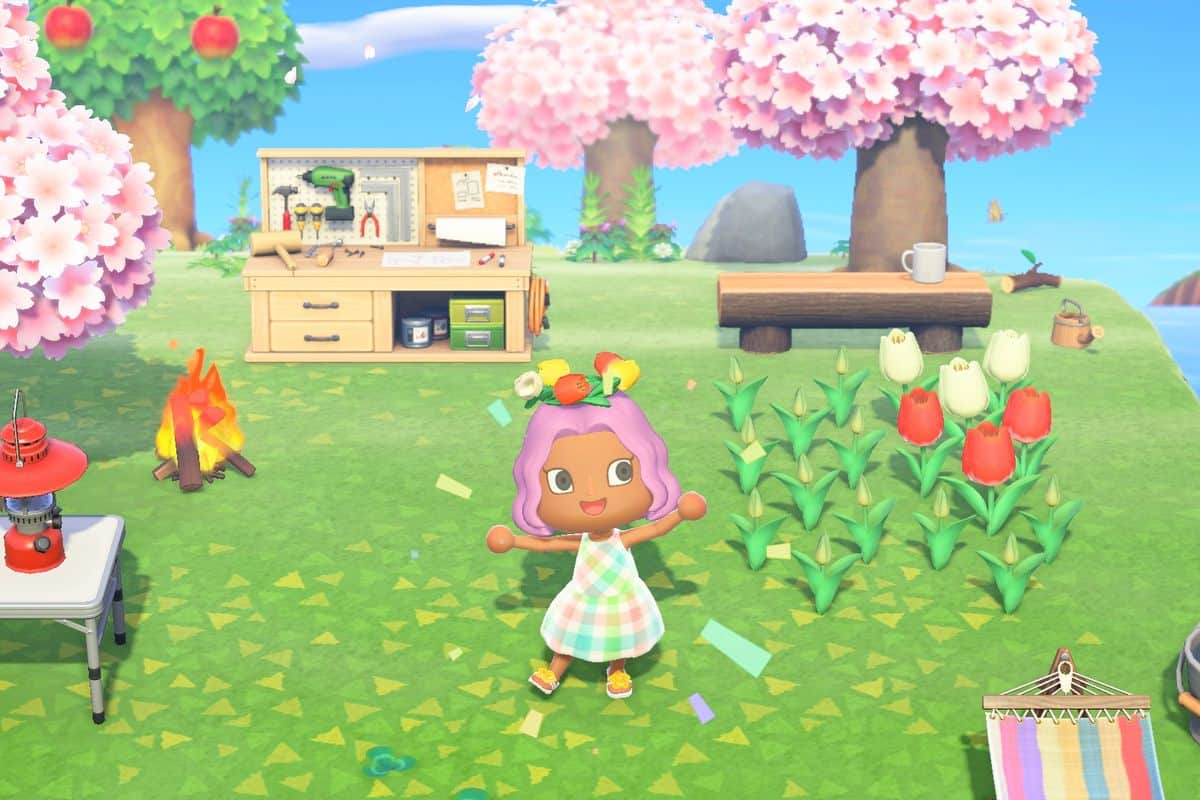 Animal Crossing: New Horizons